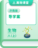 2025--2026学年济南版生物八年级上册 导学案