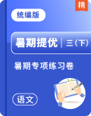 【暑期提优】部编版语文三年级下册---暑期专项提升练习卷（含答案）