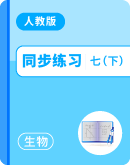 2024-2025学年人教版生物七年级下册 同步练习(学生版+答案版)