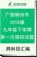 广西柳州市2018届九年级下学期第一次模拟试题