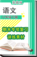苏教版初中语文八年级下册期末专项复习讲练素材（共17个专题，无答案）
