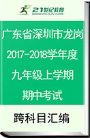 广东省深圳市龙岗区2017-2018学年度九年级上学期期中考试