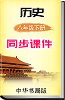 2018年春中华书局版八年级历史下册同步课件