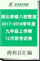 湖北省孝感市八校联谊2017-2018学年度九年级上学期12月联考试卷
