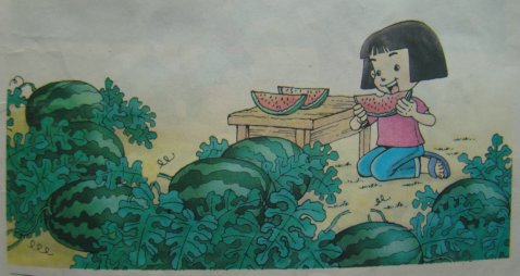 吃西瓜看图写话一年级图片