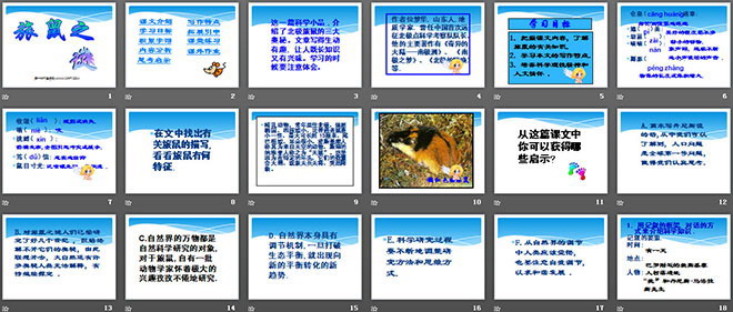 《旅鼠之谜》PPT课件3