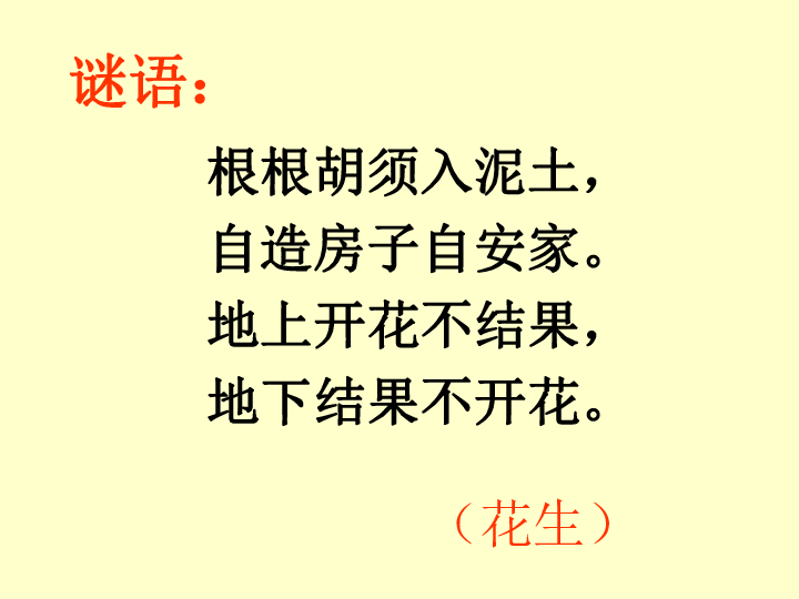 课件预览