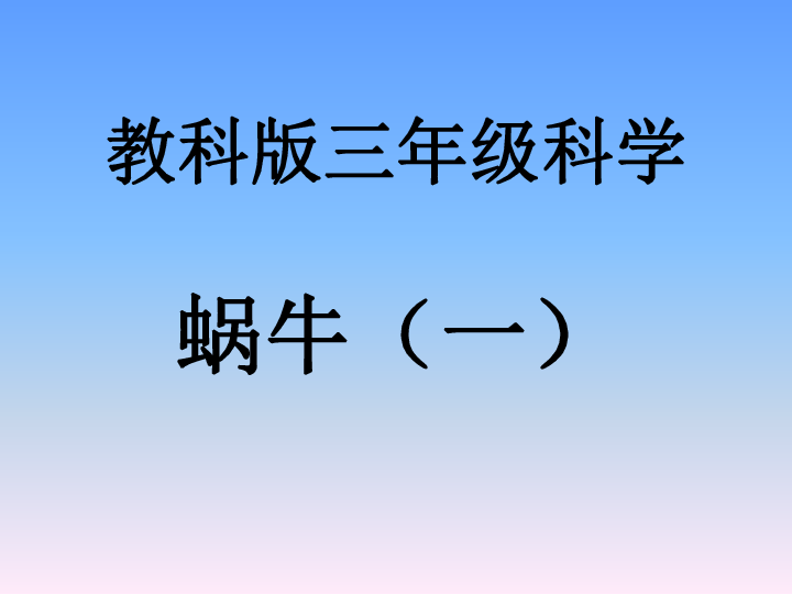 课件预览