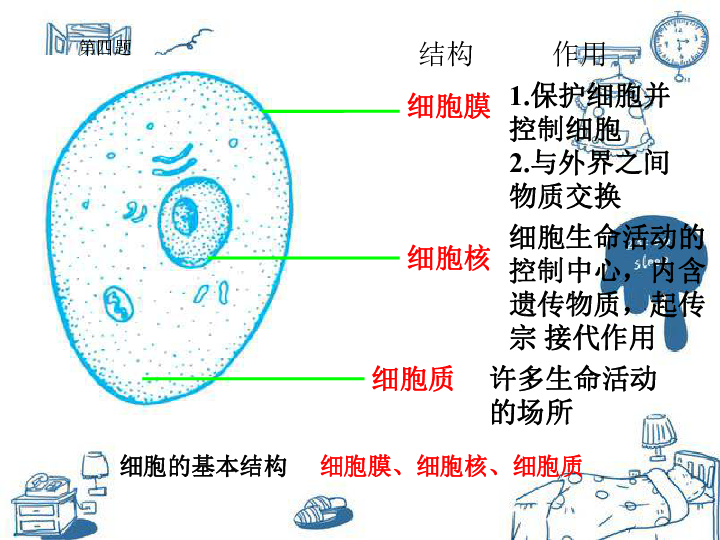 课件预览