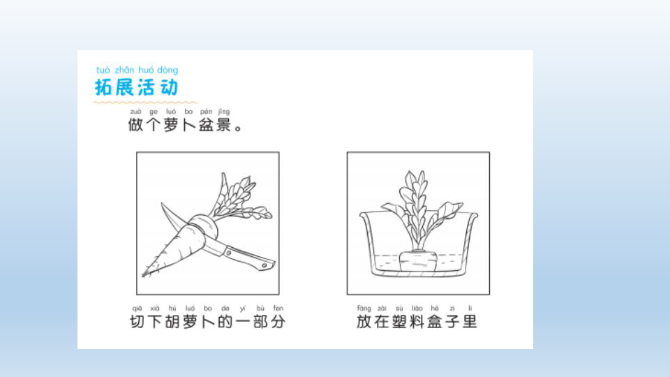 课件预览